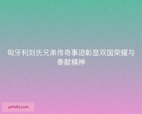 匈牙利刘氏兄弟传奇事迹彰显双国荣耀与奉献精神